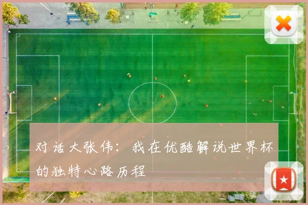对话大张伟：我在优酷解说世界杯的独特心路历程