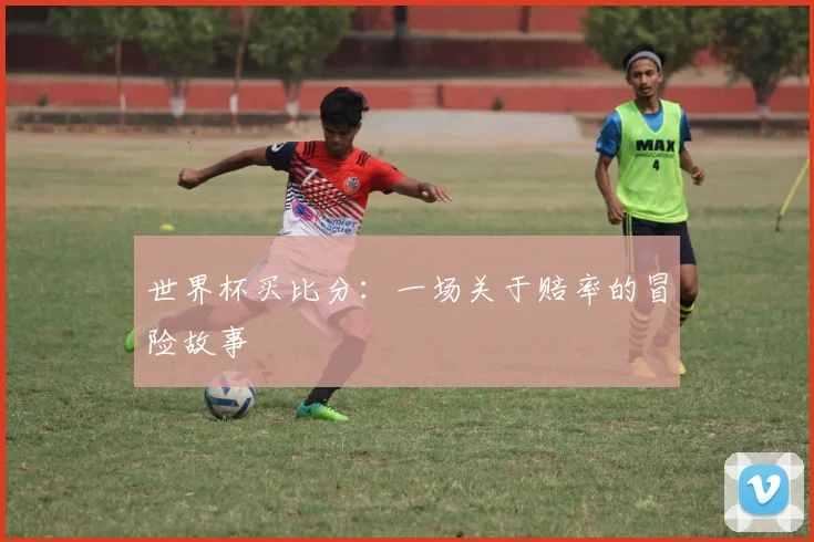 世界杯买比分:一场关于赔率的冒险故事