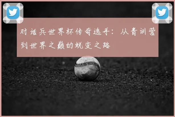 对话兵世界杯传奇选手:从青训营到世界之巅的蜕变之路