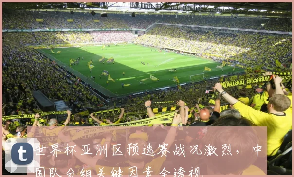 世界杯亚洲区预选赛战况激烈，中国队分组关键因素全透视
