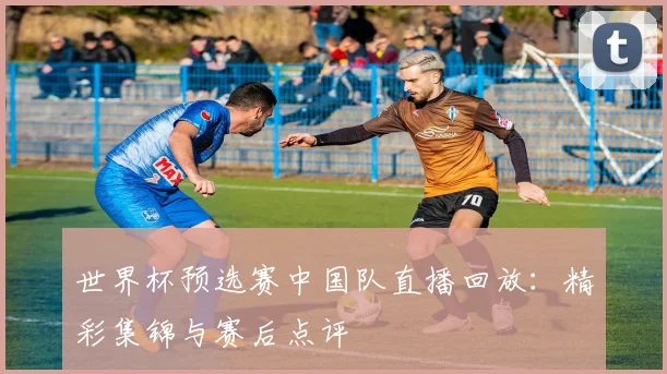 世界杯预选赛中国队直播回放：精彩集锦与赛后点评