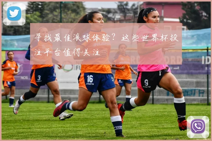 寻找最佳滚球体验？这些世界杯投注平台值得关注